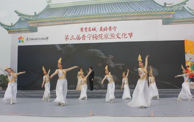 普宁梅花旅游文化节:“街头巷尾谈旅游,山区景点赛梅花”